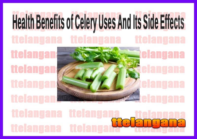Health Benefits of Celery And Its Side Effects