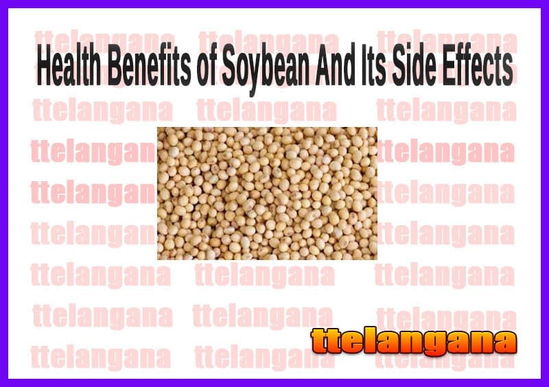 Health Benefits of Soybean And Their Side Effects