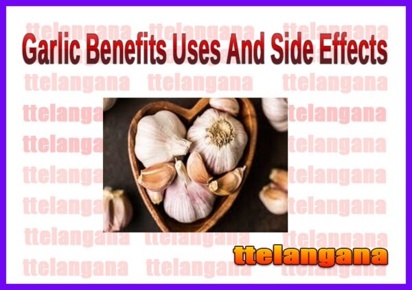 Garlic Benefits Uses And Side Effects 6541